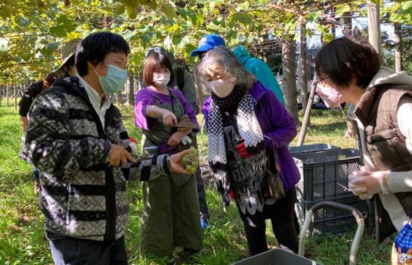 ドメーヌICHI_醸造収穫祭