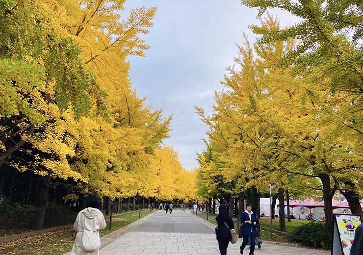 焼き芋テラス2023会場_中島公園