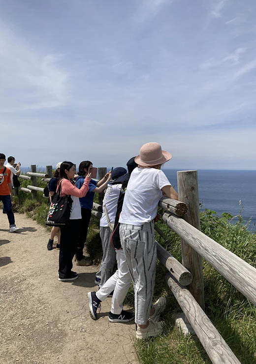 大人のピクニック夏編