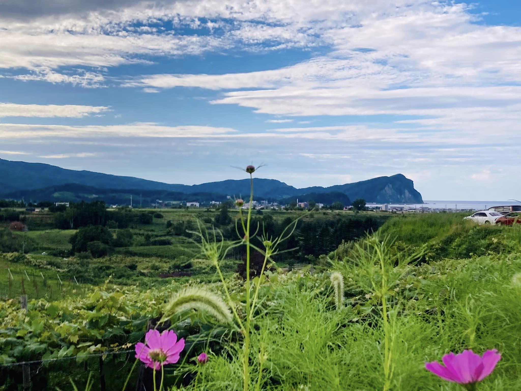 La Fête des Vignerons à YOICHI2024